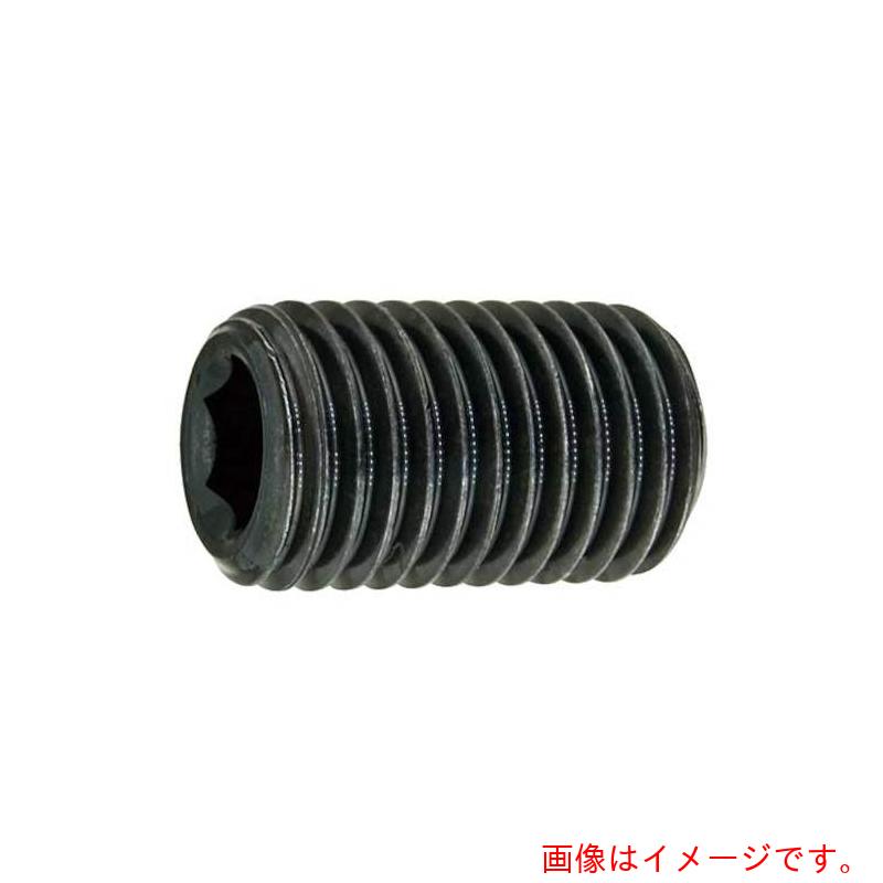 サンコーインダストリー(SUNCO) HSヒラサキ 細目P1.0 10×40 (100本入) 【品番:A0-00-5013-01000400-00】|住設プロ 店