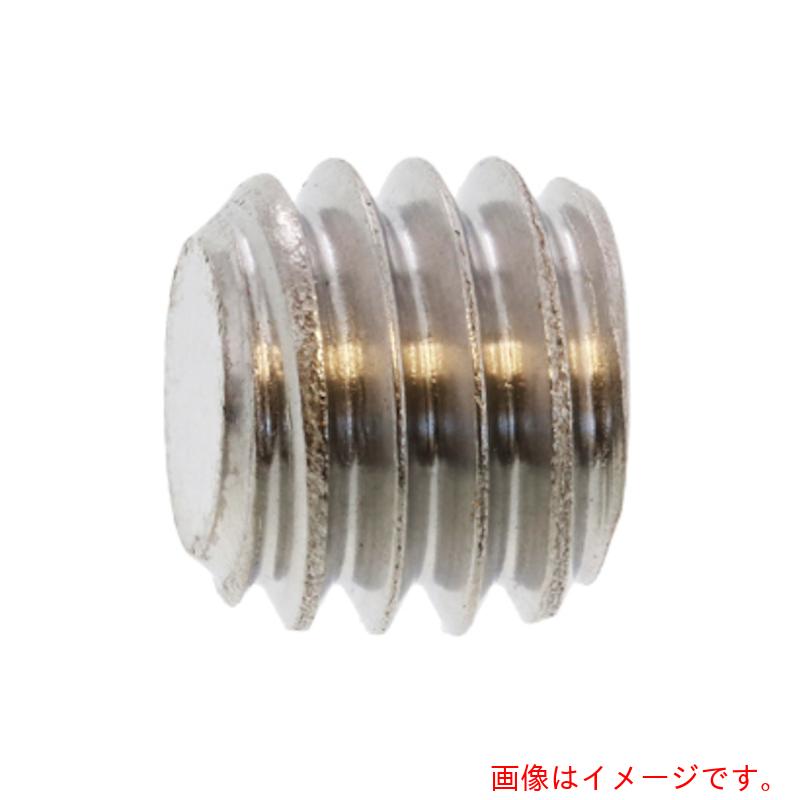 サンコーインダストリー（SUNCO） ＨＳ（富士セイラ 平先 ３×２ （１０００本入） 【品番：A0-00-501D-00300020-00】 花・ガーデン・DIY-ネジ・釘・金属素材-DIY・工具