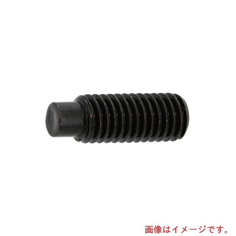 サンコーインダストリー（SUNCO） ＨＳ（先っぽ １０×１００ （５０本入） 【品番：A0-00-5030-01001000-00】