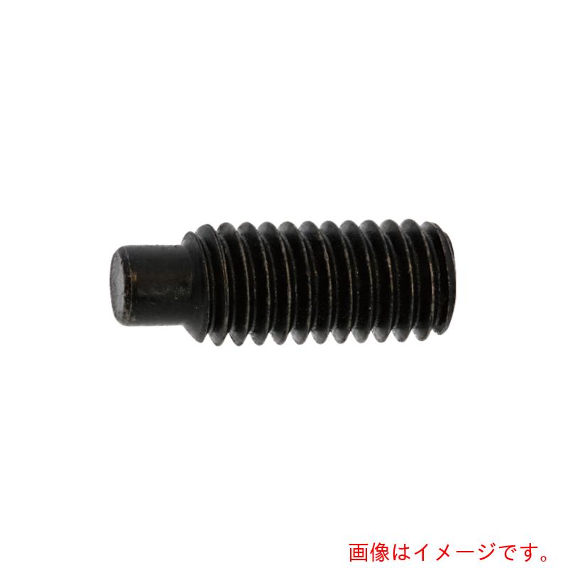 サンコーインダストリー（SUNCO）　ＨＳ（日産ネジ　棒先　３×４　（２０００本入）　【品番：A0-00-503N-00300040-00】