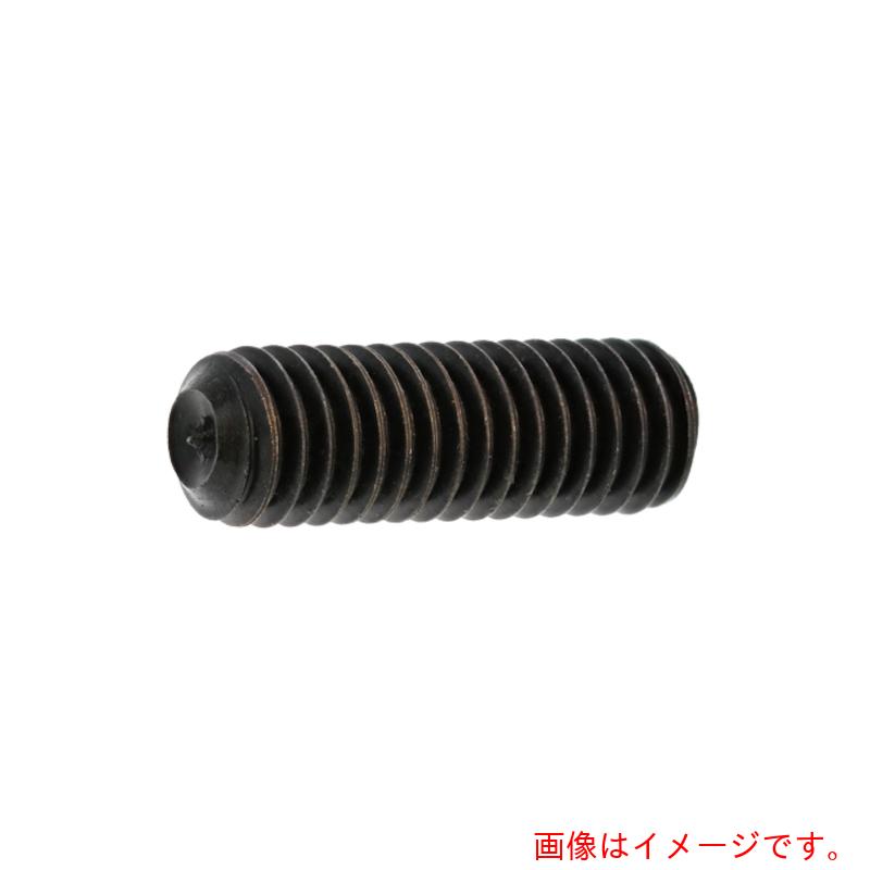 サンコーインダストリー（SUNCO） Ni ＨＳ（ＴＫＳ Ｗ尖んがり ５×６ （１０００本入） 【品番：A0-00-504T-00500060-05】