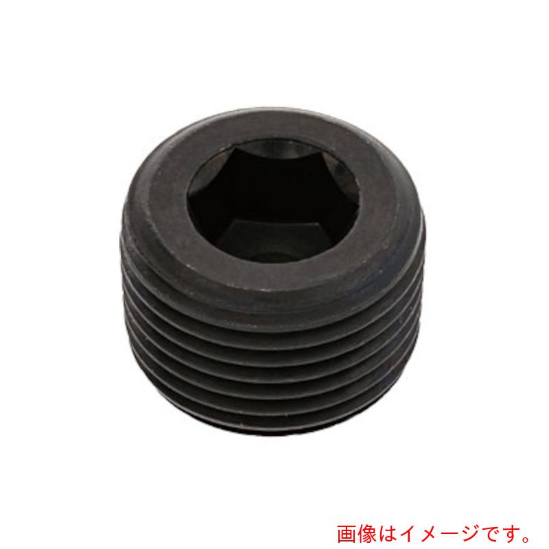 サンコーインダストリー（SUNCO） 繋ぎ（釣り浮き（日星 ＰＰ３ ＰＰ３ １” （５０本入） 【品番：A0-00-570C-81000000-00】