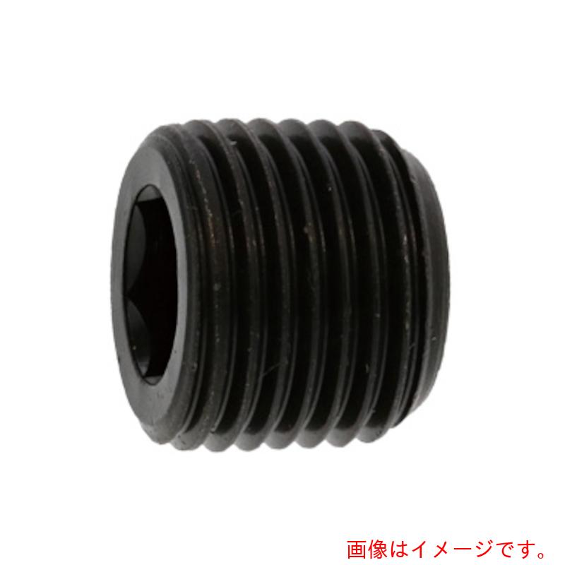 サンコーインダストリー（SUNCO） 繋ぎ（風鎮（日星 ＰＰ２ ＰＰ２ １” （５０本入） 【品番：A0-00-571L-81000000-00】