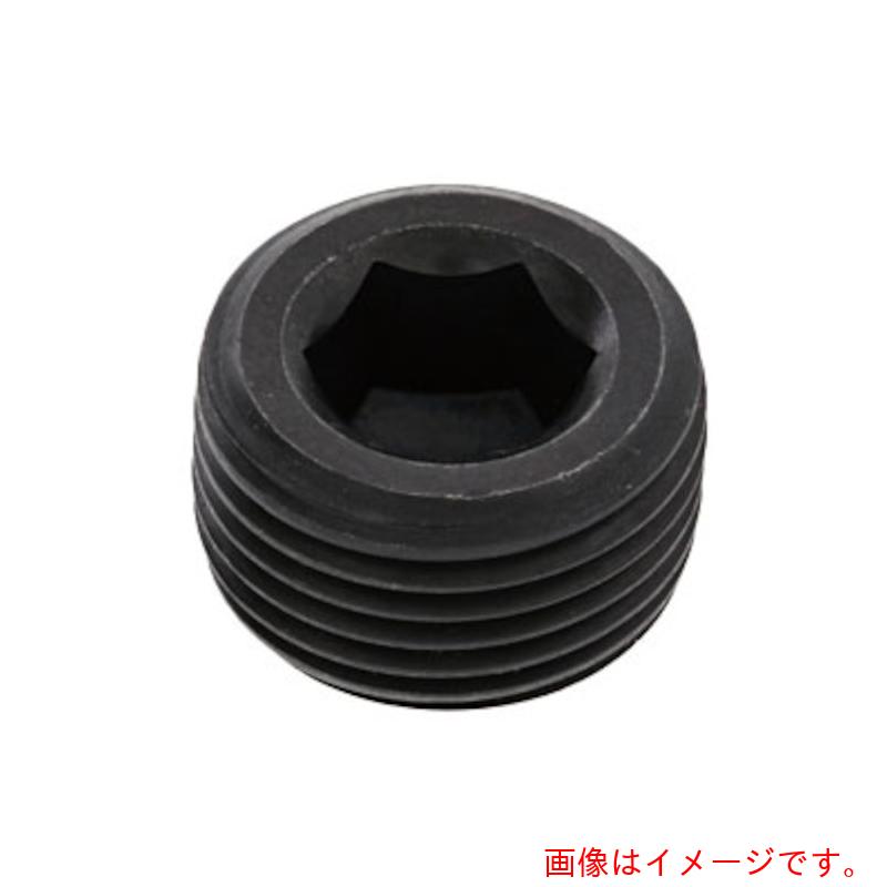 サンコーインダストリー（SUNCO）　プラグＮＢ（強力沈み　ＰＴ　１”　（４０本入）　【品番：A0-00-571N-81000000-00】