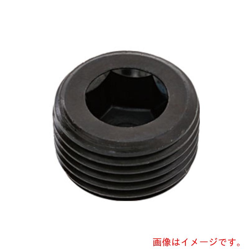 サンコーインダストリー（SUNCO）　プラグ（沈み（ＴＫＳ　ＰＴ　３／８　（３００本入）　【品番：A0-00-571T-80300000-00】