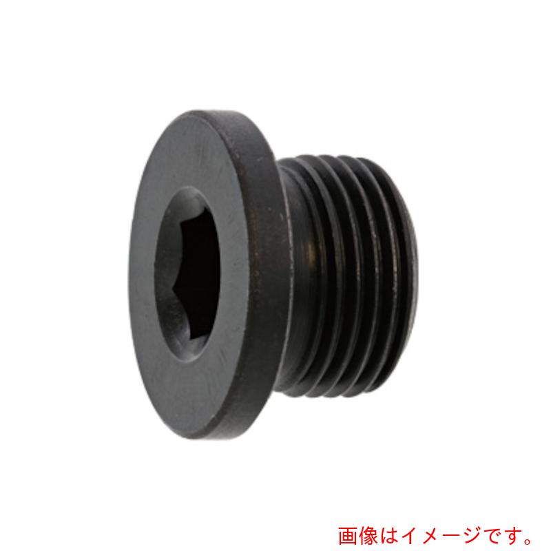 サンコーインダストリー（SUNCO） ＮＳフランジプラグ Ｇ １／２ （５０本入） 【品番：A0-00-5750-80400000-00】
