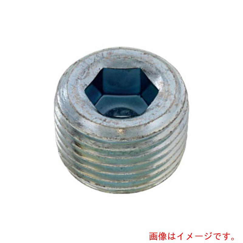 サンコーインダストリー(SUNCO) 三価ホワイト GOSHOプラグ(浮き GJ 1/8 (500本入) 【品番:A0-00-5800-80100000-03】|住設プロ 店