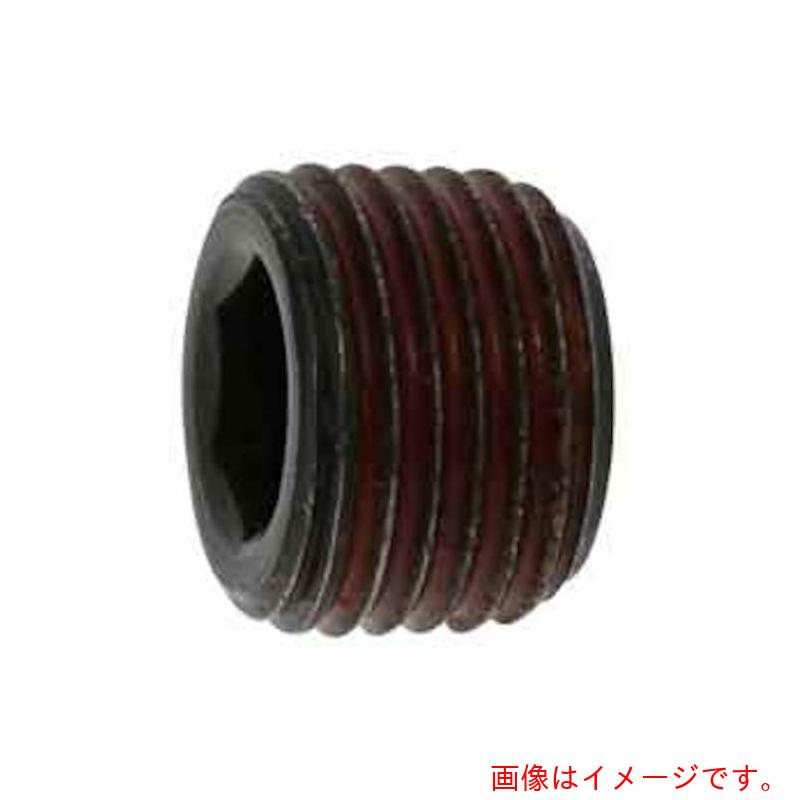 サンコーインダストリー（SUNCO） ストッキングプラグシズミ ＧＭ １／１６ （１０００本入） 【品番：A0-00-581S-80050000-00】