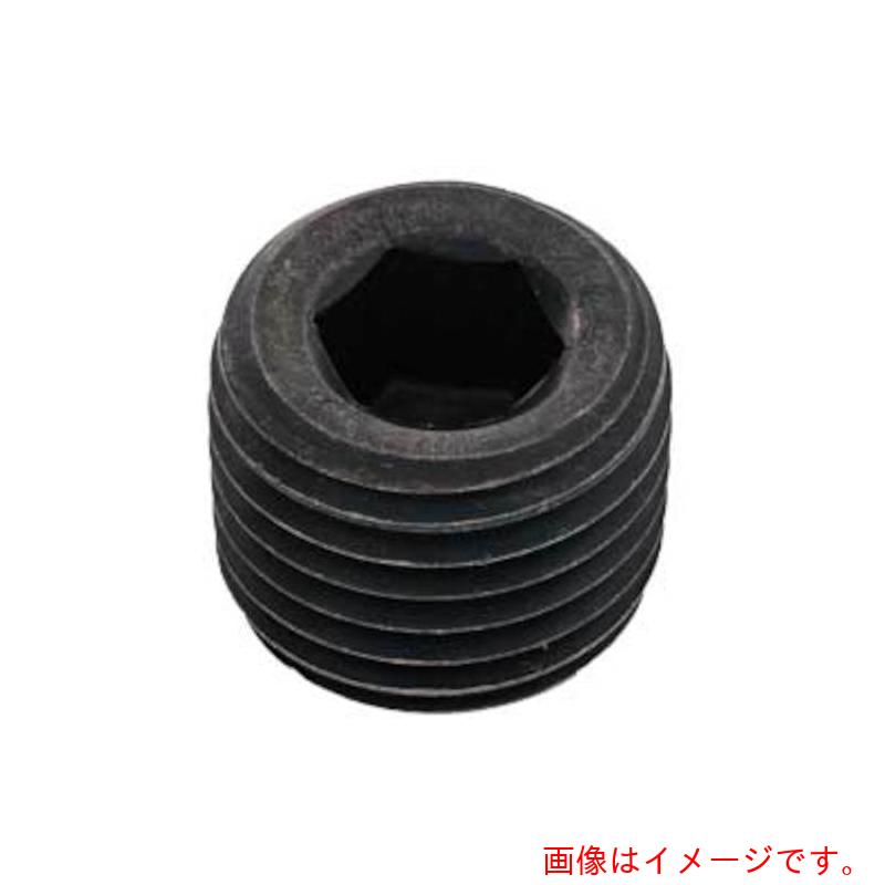 サンコーインダストリー（SUNCO）　ＧＯＳＨＯプラグ（浮き　ＮＰＴＦ　ＧＤ　３／４　（１００本入）　【品番：A0-00-5830-80600000-00】