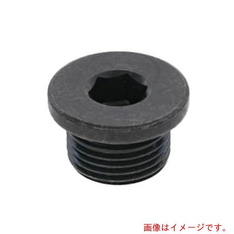 サンコーインダストリー（SUNCO）　三価ホワイト　ＧＯＳＨＯプラグ　（ツバ付き　ＧＰＦ　１／２　（１５０本入）　【品番：A0-00-5850-80400000-03】