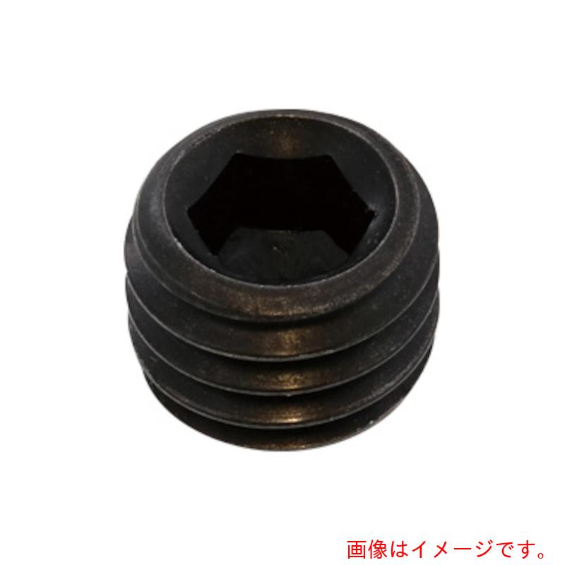 サンコーインダストリー（SUNCO） 鍵を掛ける螺子釘（１シュ ＃２６ Ｍ２６Ｘ１．５Ｘ１２ （５０本入） 【品番：A0-00-5900-02600000-00】