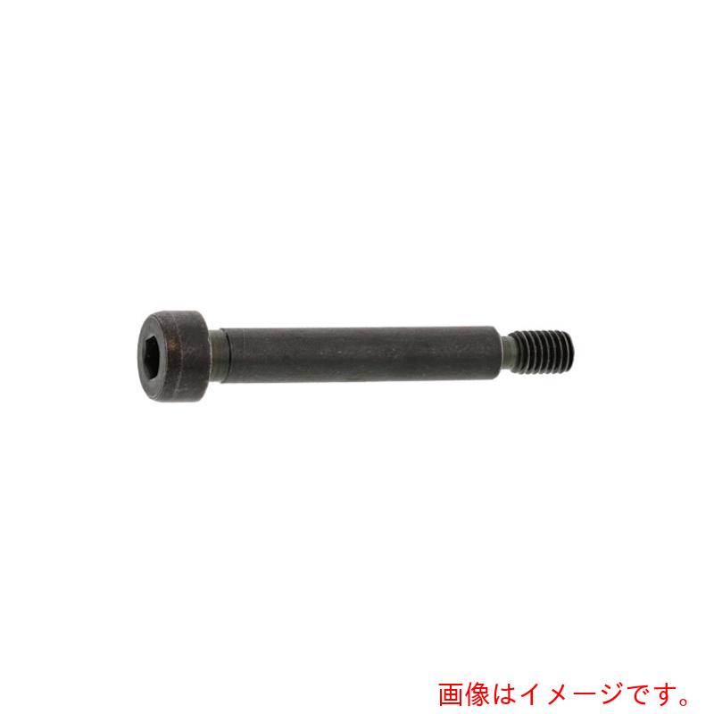 サンコーインダストリー（SUNCO）　ＧＯＳＨＯショルダーＢＴ　ＳＴタイプ　１６　Ｘ　８０　（３０本入）　【品番：A0-00-601G-01600800-00】