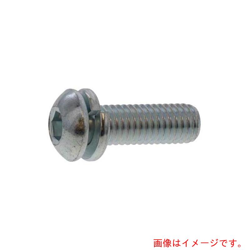 サンコーインダストリー(SUNCO) WAボタン−Sタイプ 4×15 (1000本入) 【品番:A0-00-8720-00400150-00】|住設プロ 店