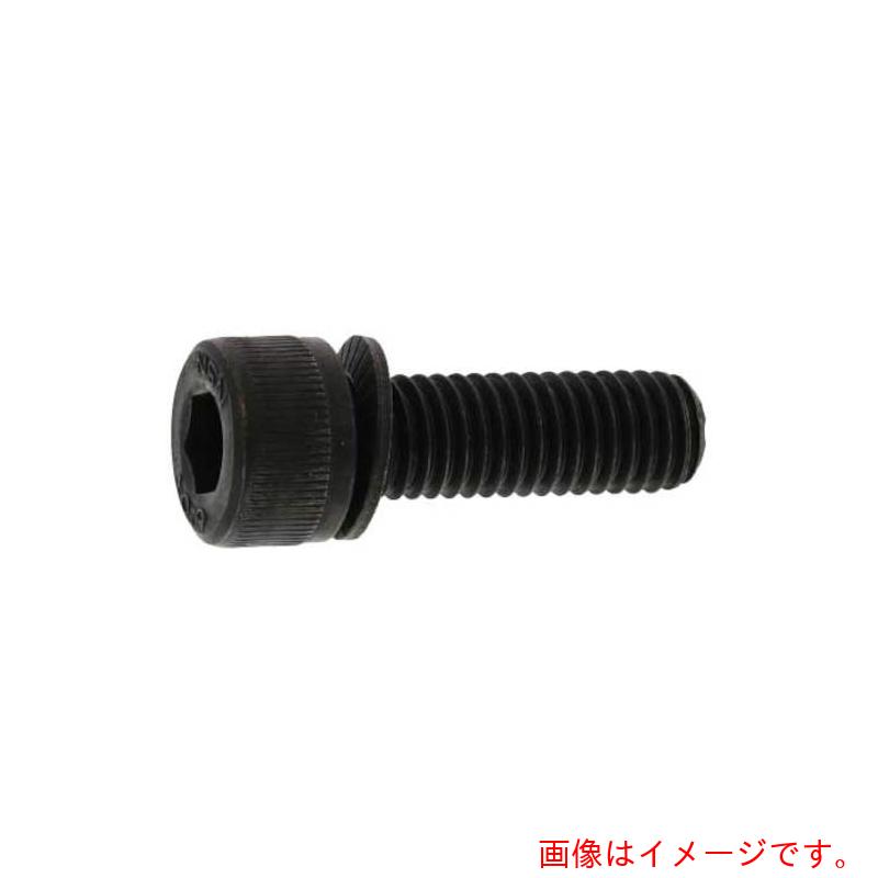 サンコーインダストリー（SUNCO） １０．９ ＮＨセフティソケット ４ Ｘ ６ （１０００本入） 【品番：A0-00-900N-00400060-00】