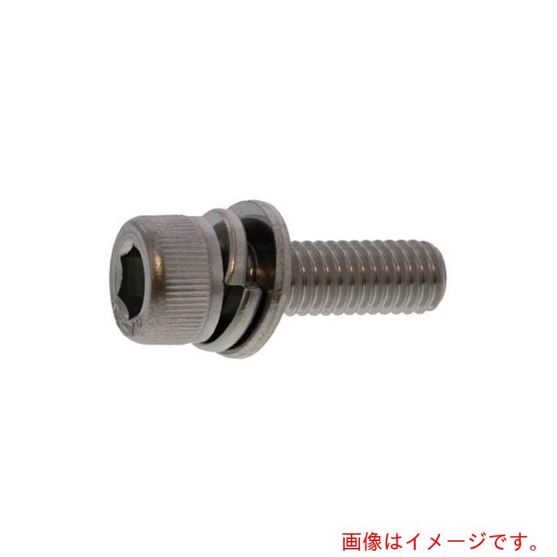 サンコーインダストリー（SUNCO） クローム １０．９ＣＡＰ Ｉ＝３ ６×１６ （３００本入） 【品番：A0-00-9130-00600160-06】
