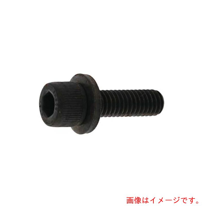 サンコーインダストリー（SUNCO） 三価白いこと １０．９ＧＴ－Ｌ ＣＡＰ ４ Ｘ ８ （５００本入） 【品番：A0-00-9L00-00400080-03】