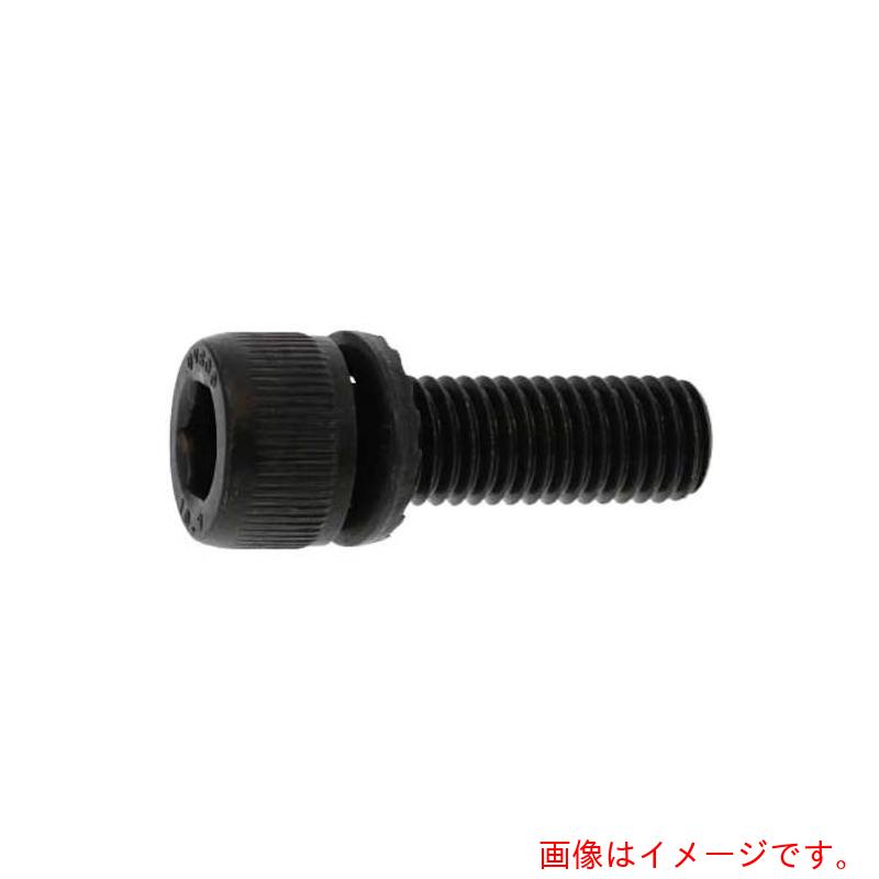 サンコーインダストリー（SUNCO） １０．９ＧＴ－Ｓ ＣＡＰ ４ Ｘ １６ （５００本入） 【品番：A0-00-9S00-00400160-00】