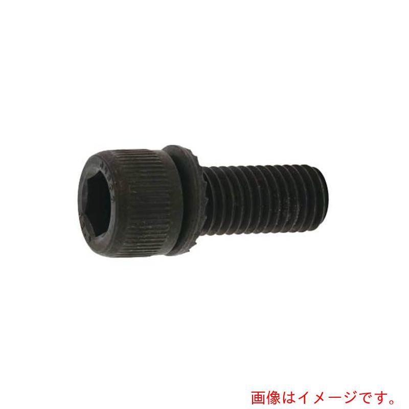 サンコーインダストリー（SUNCO） ＧＴ－ＣＡＰ（ＳＡ） ６ Ｘ １０ （５００本入） 【品番：A0-00-GTSA-00600100-00】
