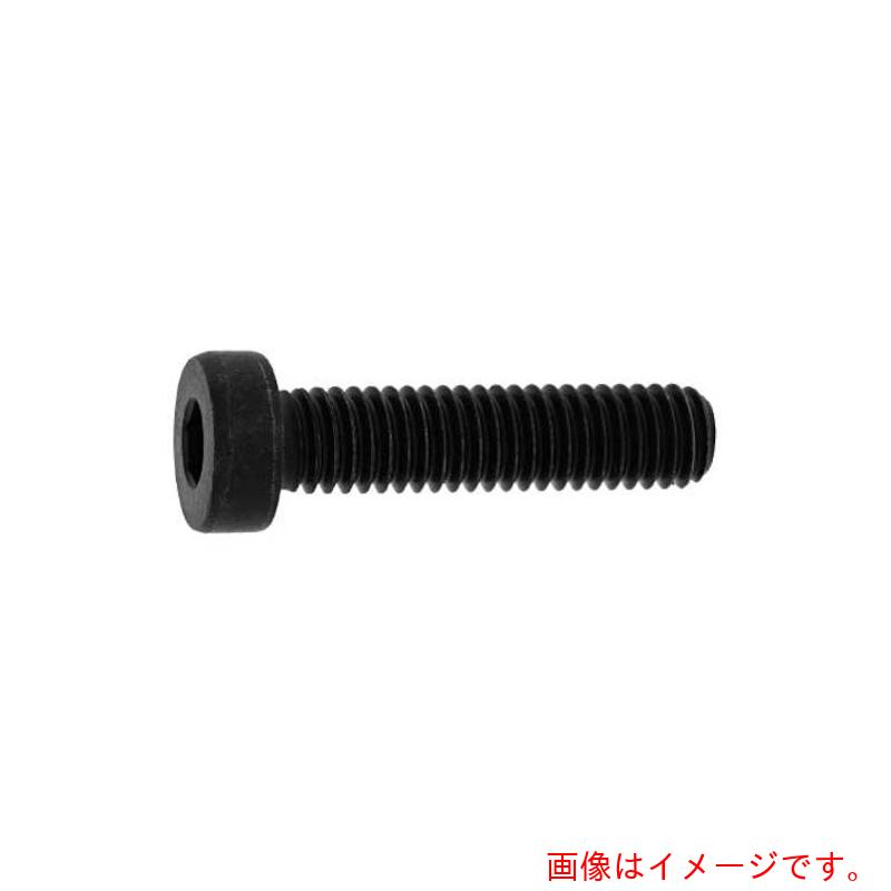 サンコーインダストリー（SUNCO） 置き目頭顱ＣＡＰ 互省製 ３×１６ （１０００本入） 【品番：A0-00-L00G-00300160-00】