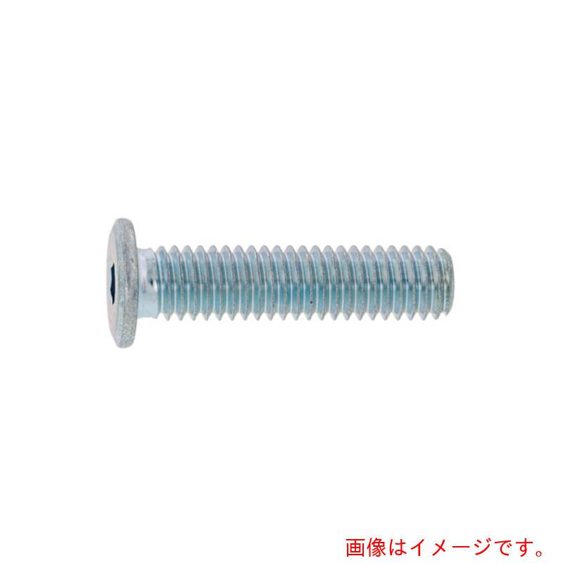 サンコーインダストリー（SUNCO） ユニクロ 極薄・ＮＳローヘッド １２×５５ （５０本入） 【品番：A0-00-L300-01200550-01】