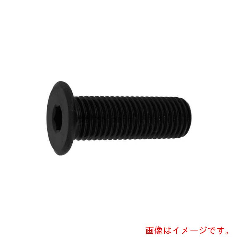 サンコーインダストリー（SUNCO） 極薄ローヘッド 所せまいＰ－１．２５ １０×４０Ｐ１．２５ （１００本入） 【品番：A0-00-L304-01000400-00】