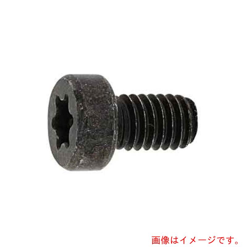 サンコーインダストリー（SUNCO） 三価白いこと ＴＲ×置き目上端ＣＡＰ インタトルク ５×１６ （５００本入） 【品番：A0-00-LTIN-00500160-03】