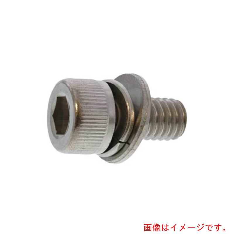 サンコーインダストリー(SUNCO) 三価ホワイト 10.9CAP PU=3 板厚0対応 6×12 (300本入) 【品番:A0-00-S030-00600120-03】