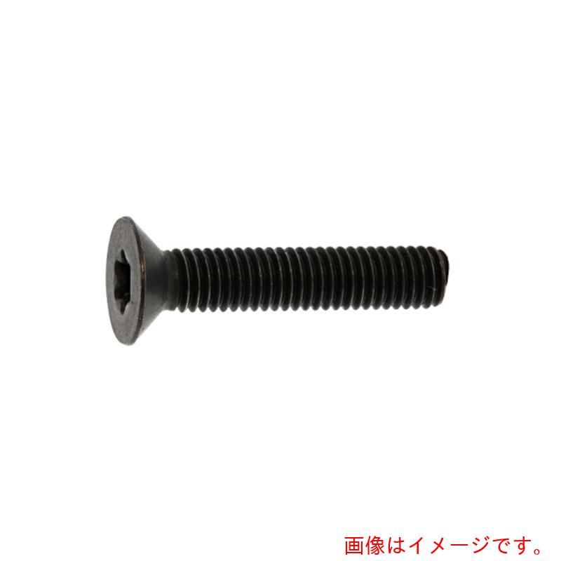 サンコーインダストリー（SUNCO）　ＴＯＲ×－サラＣＡＰ　ＤＩＮ規格　５×２５　（５００本入）　【品番：A0-00-T200-00500250-00】