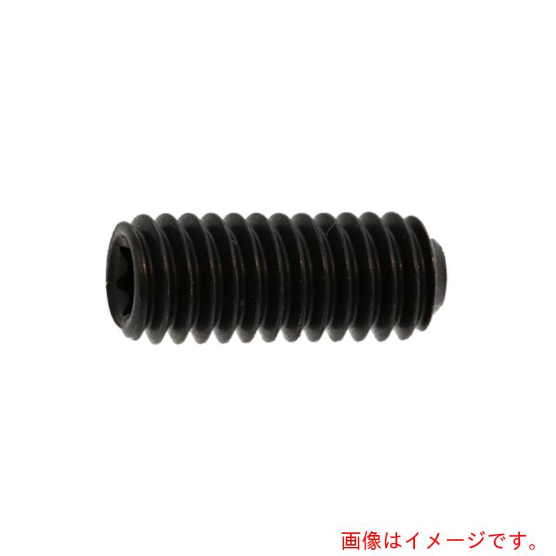 サンコーインダストリー（SUNCO）　ＴＯＲ×－ＨＳ（クボミ　４×１０　（２０００本入）　【品番：A0-00-T500-00400100-00】