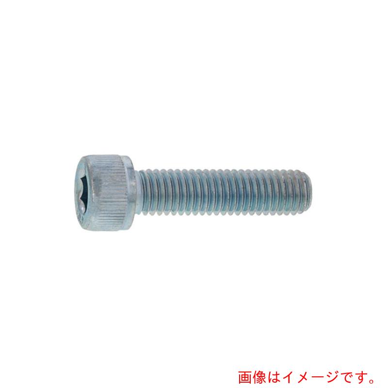 サンコーインダストリー（SUNCO） ステンＣＡＰ（半 ６ Ｘ １１０ （１００本入） 【品番：A0-02-0000-00601100-00】