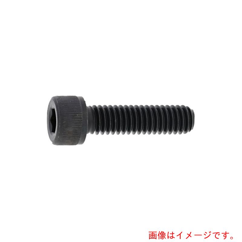 サンコーインダストリー（SUNCO） ステンＣＡＰ（知的能力 ５／１６ Ｘ ４０ （１００本入） 【品番：A0-02-0002-80250400-00】