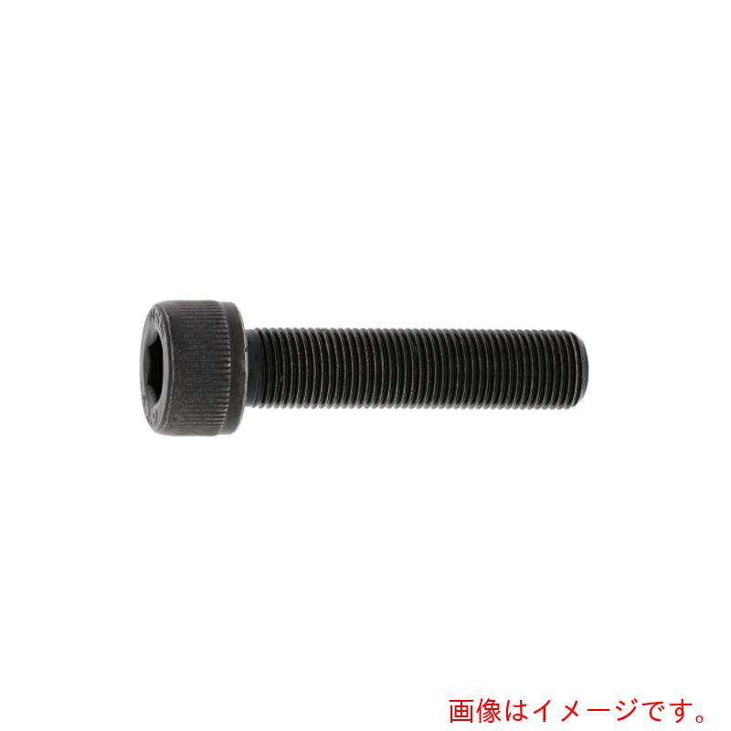 サンコーインダストリー（SUNCO） ステンＣＡＰ（所せまい 投球 １．０ １０ Ｘ １５ （１００本入） 【品番：A0-02-0003-01000150-00】