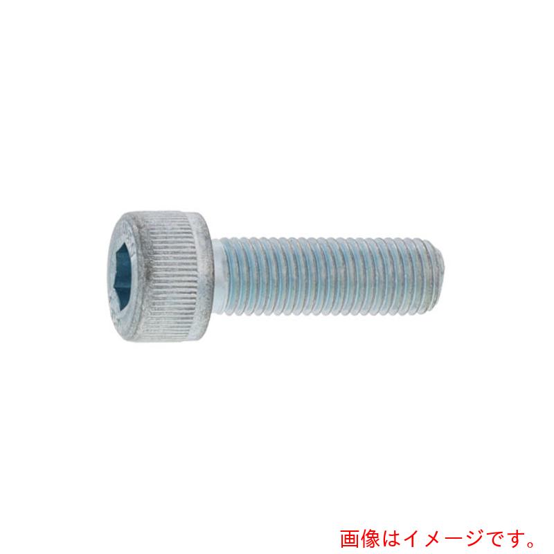 サンコーインダストリー（SUNCO） ステンＣＡＰ 所せまいＰ０．７５ ６ Ｘ ４０ （２００本入） 【品番：A0-02-0004-00600400-00】