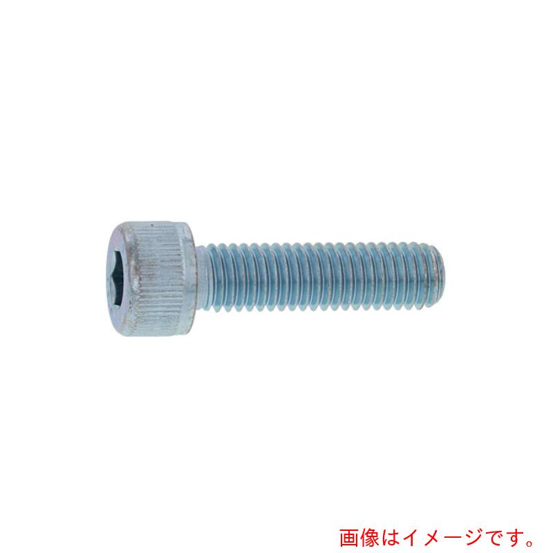 サンコーインダストリー（SUNCO） ＢＫ ステンＣＡＰ（アンスコ ２．６ Ｘ ８ （１０００本入） 【品番：A0-02-000A-00260080-08】
