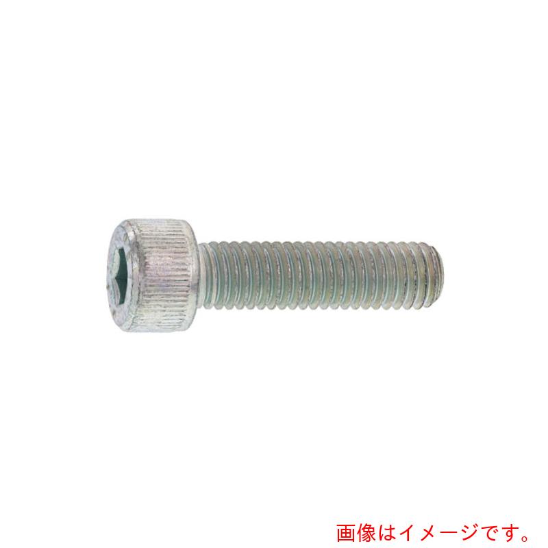 サンコーインダストリー（SUNCO） ステンＣＡＰ 日本鋲螺 ２０ Ｘ ４０ （３０本入） 【品番：A0-02-000B-02000400-00】
