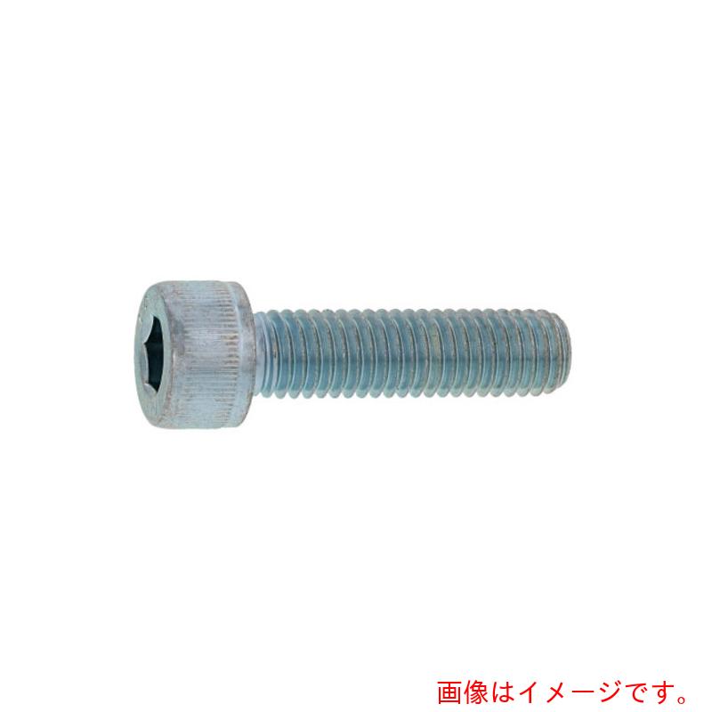 サンコーインダストリー（SUNCO） ステンＣＡＰ（日星精工 １２×２１０ （２０本入） 【品番：A0-02-000C-01202100-00】
