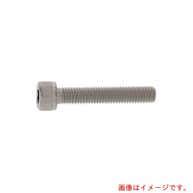 サンコーインダストリー（SUNCO） ステンＣＡＰ（日産ねじ釘 全ねじ釘 １０×６０×６０ （７０本入） 【品番：A0-02-001N-01000600-00】