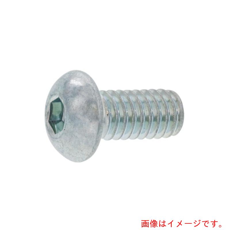サンコーインダストリー（SUNCO） ＢＫ ＳＵＳ名取り草ＣＡＰ  ４×２５ （５００本入） 【品番：A0-02-1000-00400250-08】
