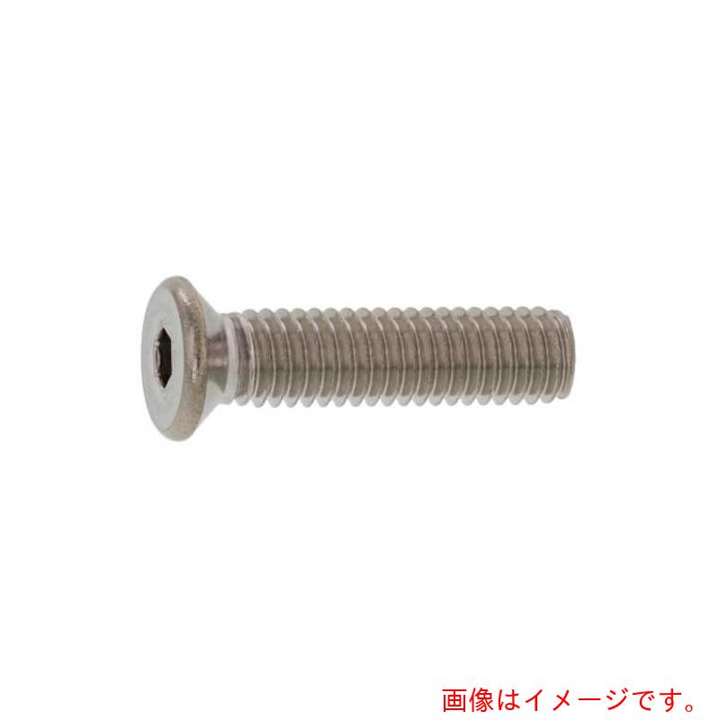 サンコーインダストリー（SUNCO） ＳＵＳサラＣＡＰ Ｄ１０ 小頭 ６×１０ （５００本入） 【品番：A0-02-2006-00600100-00】