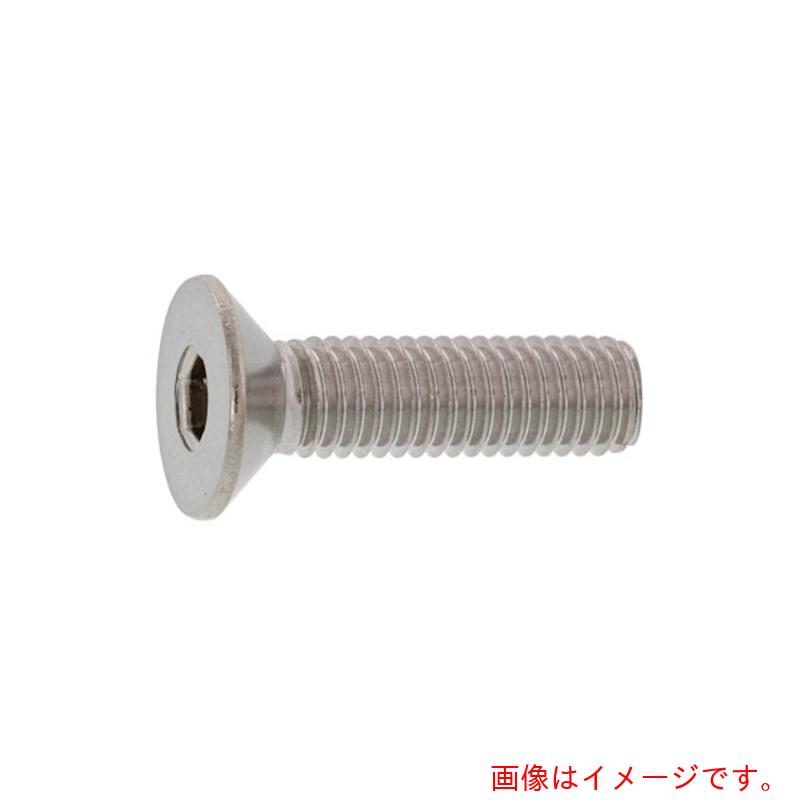 サンコーインダストリー（SUNCO） ＳＵＳサラＣＡＰ（ＨＳＫ 光精工 １０×６０ （１００本入） 【品番：A0-02-200H-01000600-00】