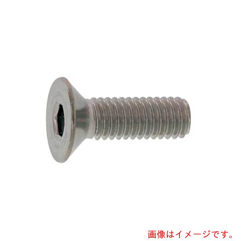 サンコーインダストリー（SUNCO）　ＳＵＳサラＣＡＰ　日産ネジ　ＤＩＮ規格　１２×２０　（１００本入）　【品番：A0-02-200N-01200200-00】