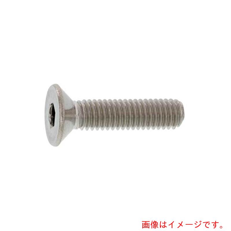 サンコーインダストリー(SUNCO) SUSサラCAP 興津螺旋製 5×35 (500本入) 【品番:A0-02-200V-00500350-00】|住設プロ 店
