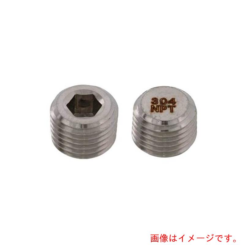 【別途貨物輸送あり】サンコーインダストリー（SUNCO） ＳＵＳ繋ぎ（分銅 ＮＰＴ １／８ （５００本入） 【品番：A0-02-5640-80100000-00】