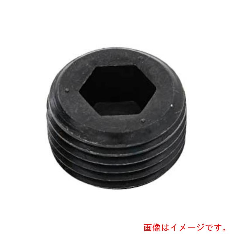 サンコーインダストリー（SUNCO）　ステンＧＯＳＨＯプラグ　ＮＰＴＦ（沈み　ＧＤＬ　１／２　（２００本入）　【品番：A0-02-5840-80400000-00】