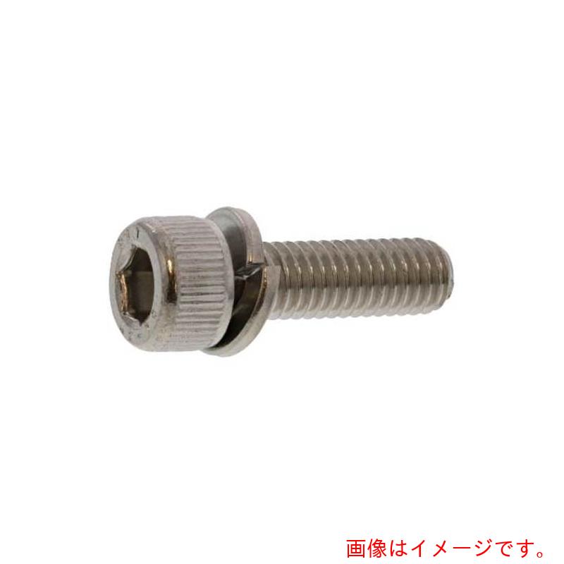 サンコーインダストリー（SUNCO） ステンＣＡＰ Ｐ＝２ 興津渦状文製 ３×２５ （１０００本入） 【品番：A0-02-902V-00300250-00】