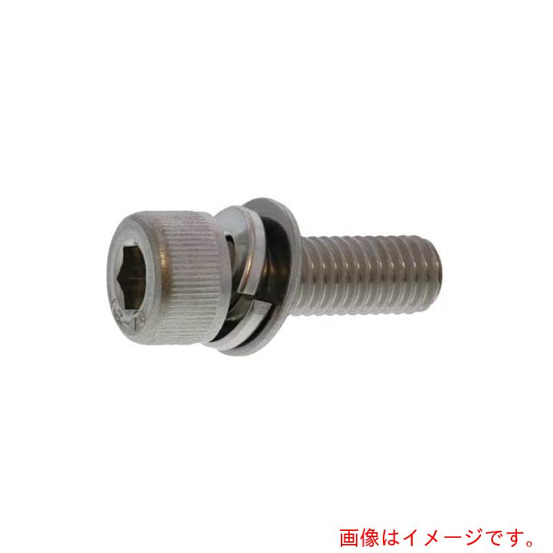 サンコーインダストリー（SUNCO） ステンＣＡＰ Ｐ＝３ 日本鋲螺製 １０×３０ （１００本入） 【品番：A0-02-903B-01000300-00】