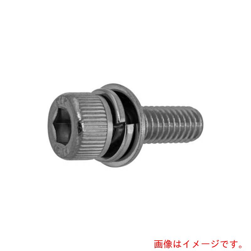 サンコーインダストリー（SUNCO） ＢＫ ステンＣＡＰ Ｐ＝３ 岸和田ステンレス鋼製 １０×４５ （５０本入） 【品番：A0-02-903S-01000450-08】