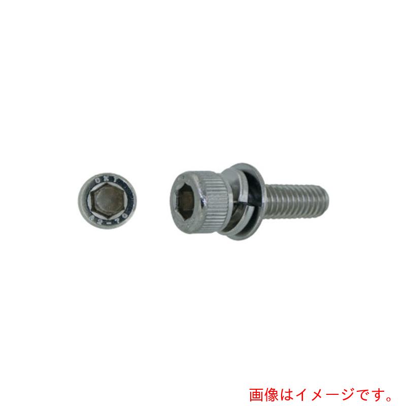 サンコーインダストリー（SUNCO） ステンＣＡＰ Ｐ＝３ 興津渦状文製 ３×２５ （１０００本入） 【品番：A0-02-903V-00300250-00】