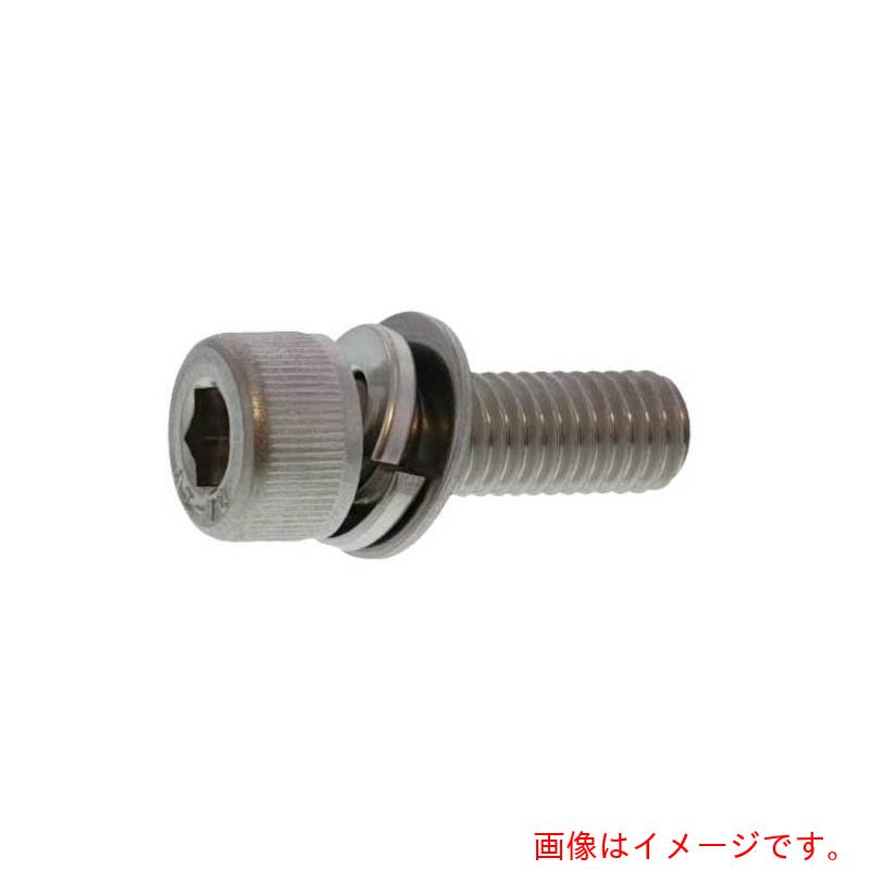 サンコーインダストリー（SUNCO） ステンＣＡＰ Ｐ＝４ ５×７５ （１００本入） 【品番：A0-02-9040-00500750-00】