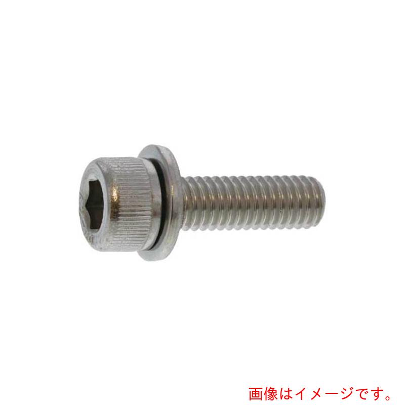 サンコーインダストリー（SUNCO） ＢＫ ステンＣＡＰ Ｉ＝１ ５×１５ （５００本入） 【品番：A0-02-9110-00500150-08】